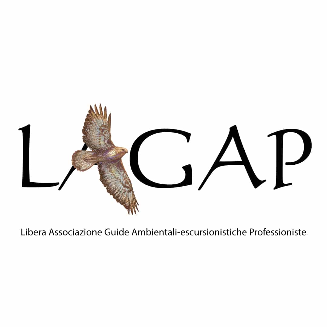 lagap